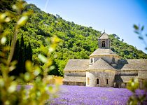 Zájezdy do Provence