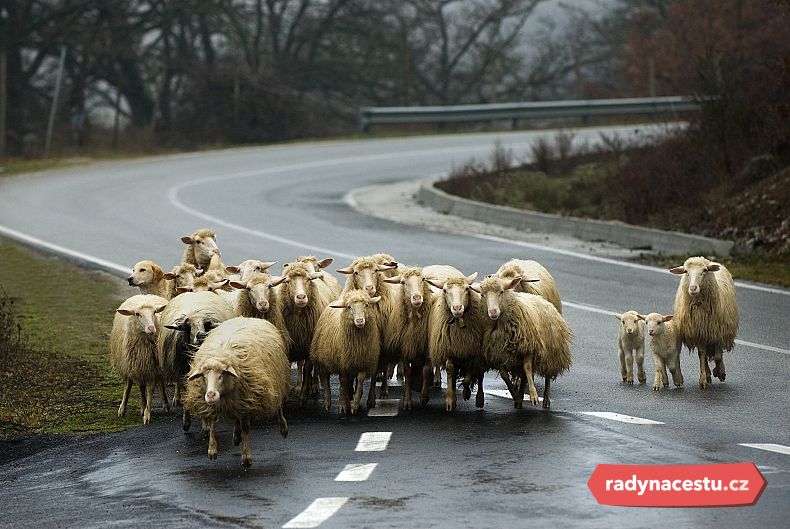 Sardinii se přezdívá "Ostrov pastýřů"