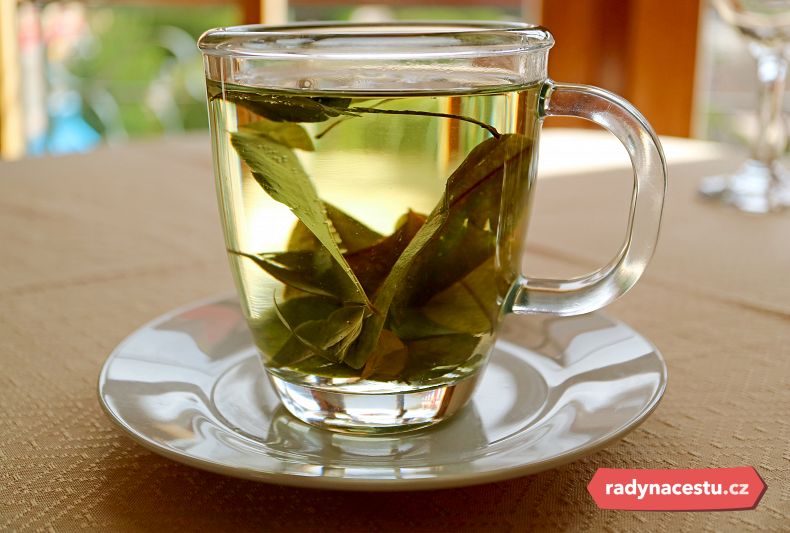 Maté de coca